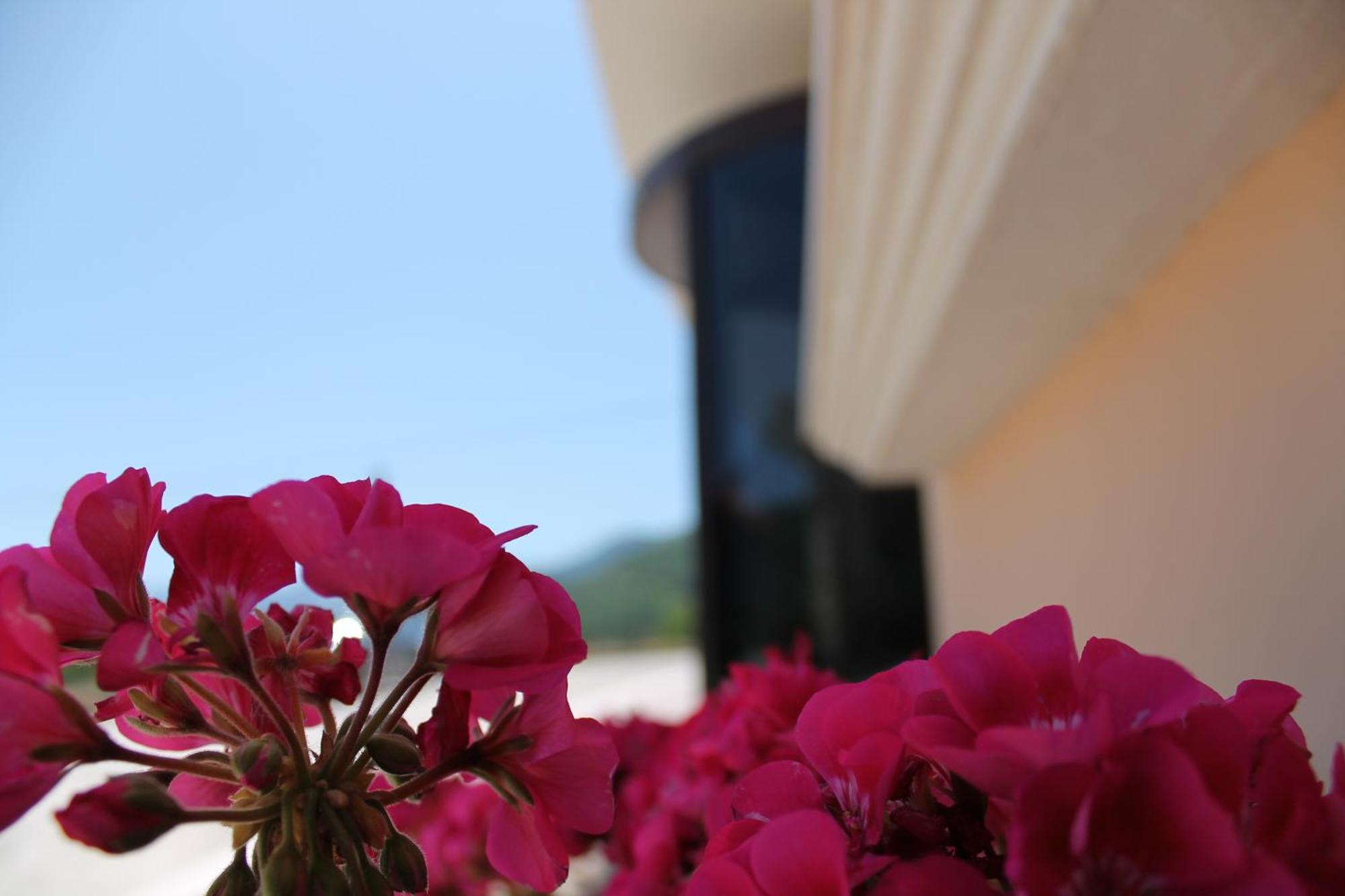 Hotel Hermitage Polla Extérieur photo